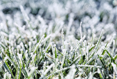 Frost on the plants. Ice grass. Beautiful winter background © Alekss