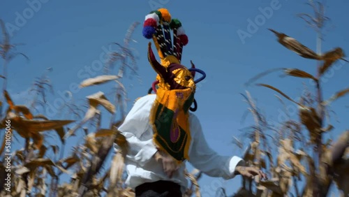 Aya huma devil running into the cornfield in the mountain. photo