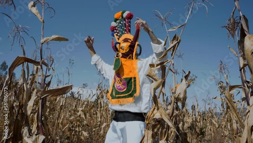 Aya huma dancing in the cornfield.