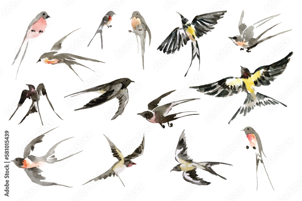 watercolor painting swallow chinese style Stock Vector Adobe Stock