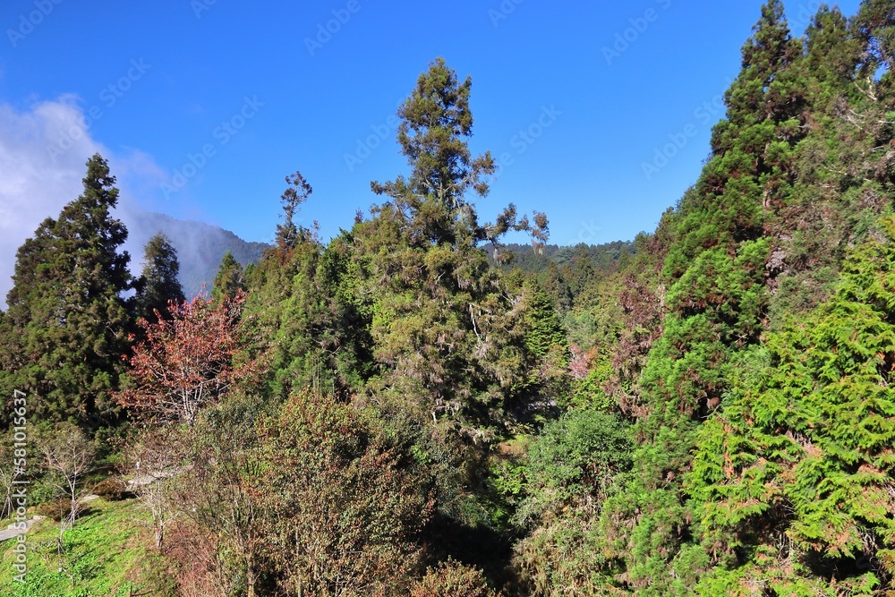 Landscape of Alishan, Taiwan