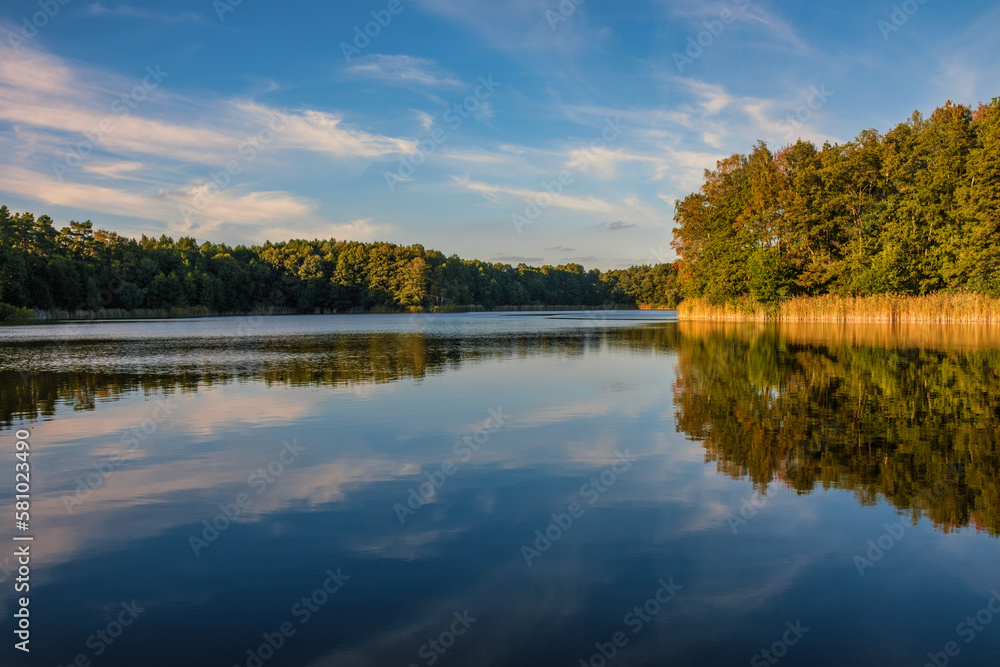 Natural landscape of the lake, high definition, the movement of waves against the background of the autumn forest. The reflection of clouds on the ripples of water. Germany.