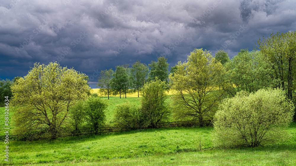 Fototapeta premium Felder und Bäume im Frühling vor heraufziehendes Gewitter