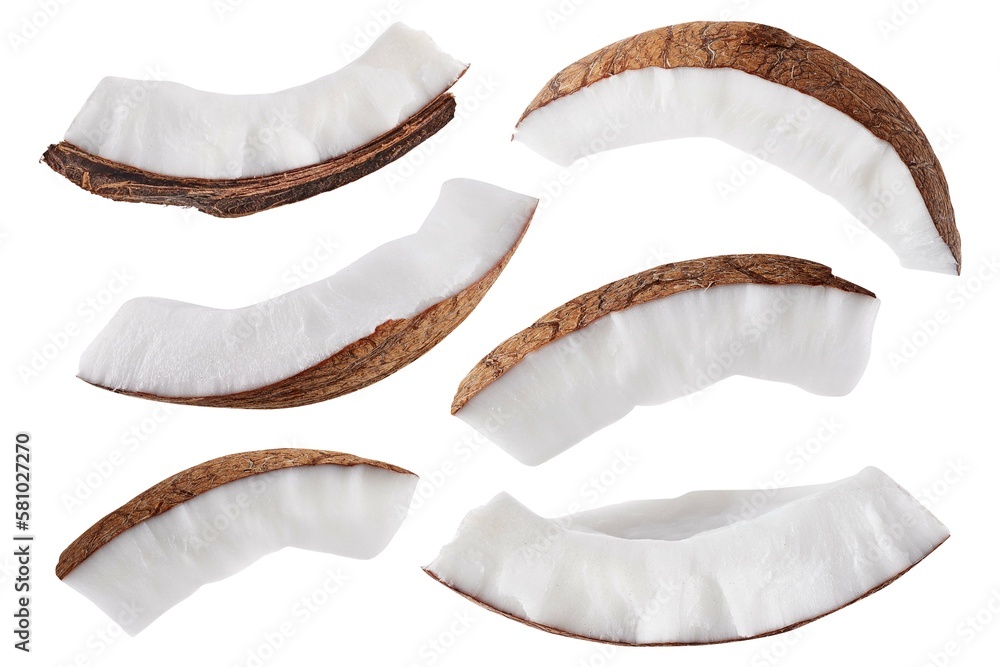Slice of coconut isolated on white background. Collection - obrazy, fototapety, plakaty 