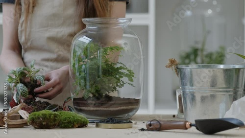 A young female florist prepares nerve fittonia plants for creating a tiny live forest ecosystem - close-up photo