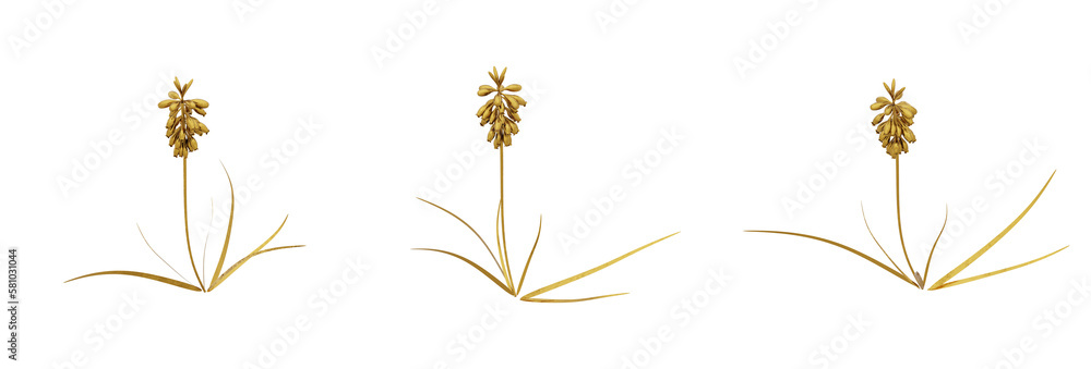 Design of a stylish and gorgeous golden plant. Ideal for adding a luxurious touch to your projects. PNG file with high transparency. 3d render.