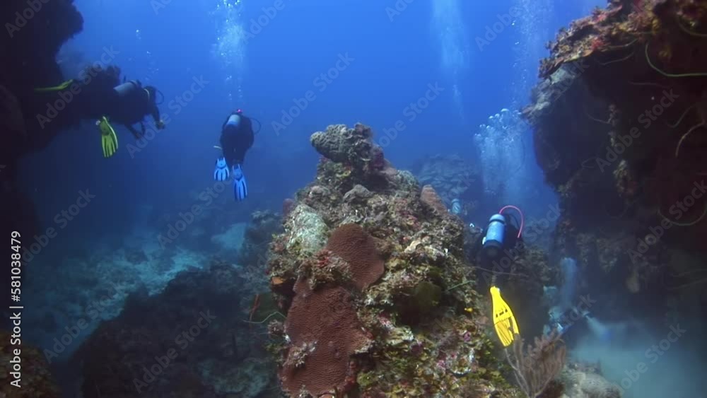 Caribbean Sea, Commonwealth of the Bahamas September 3, 2020 Underwater world is explored by