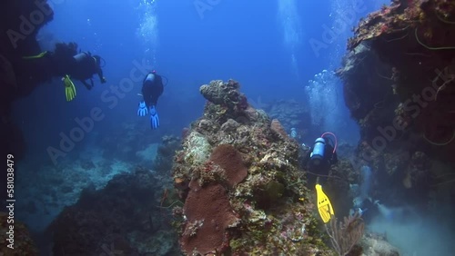 Wallpaper Mural Caribbean Sea, Commonwealth of the Bahamas - September 3, 2020: Underwater world is explored by divers swimming in clear sea water. Engaging in scuba diving, snorkeling, and flippers is adventure. Torontodigital.ca