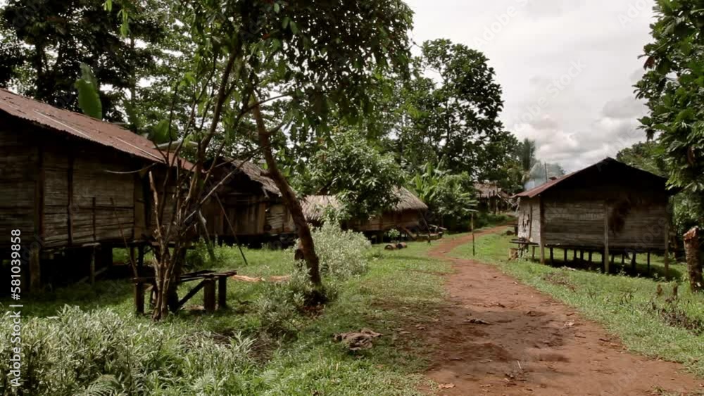 Indigenous hut neighbourhood in the jungle Papua - Fixed shot Indigenous hut neighbourhood in the jungle Papua - Fixed shot