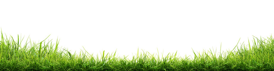 Hi Resolution image of Fresh green grass isolated against a transparent background