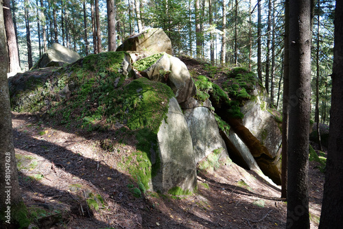 Dovbush Rocks in the forest near Yaremche city, Ukraine