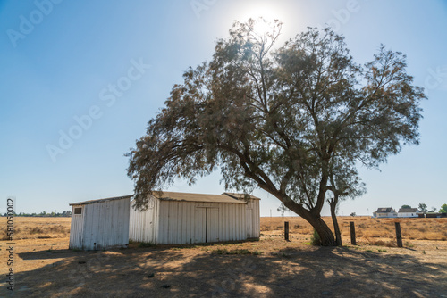 Barn and Tree at Colonel Allensworth State Historic Park