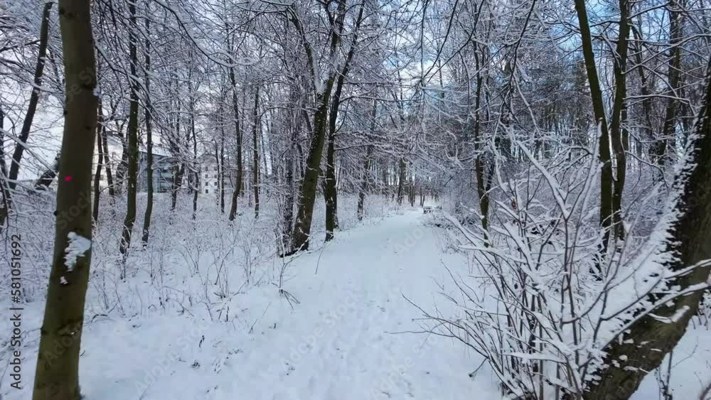 Walking in the forest. Hiker moving forward on snow covered footpath. POV Walking in the forest. Hiker moving forward on snow covered footpath. POV
