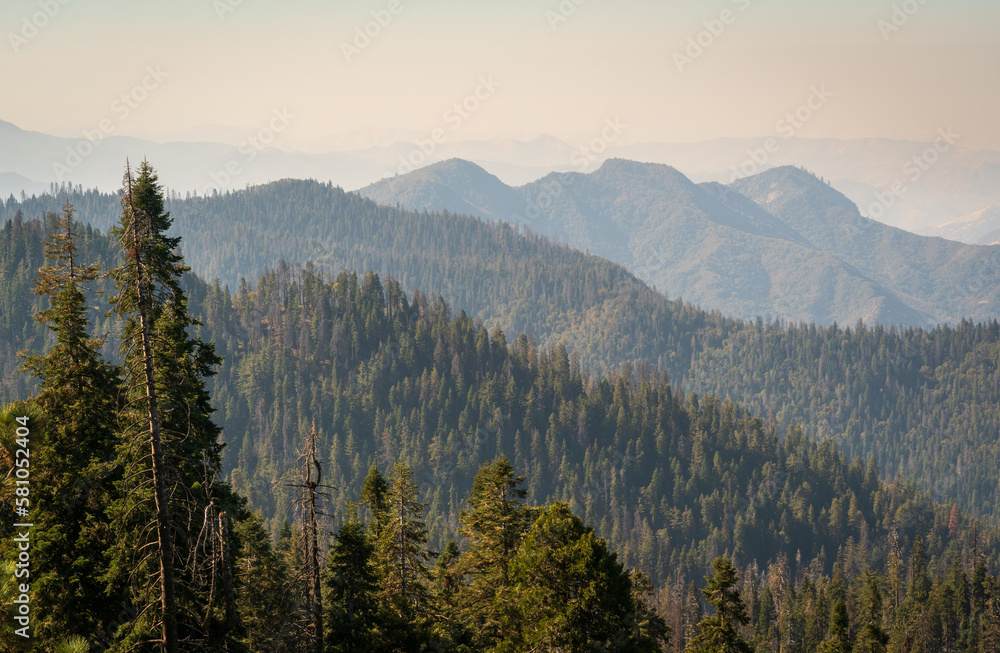 Forest Fire Smoke over Giant Sequoia National Monument