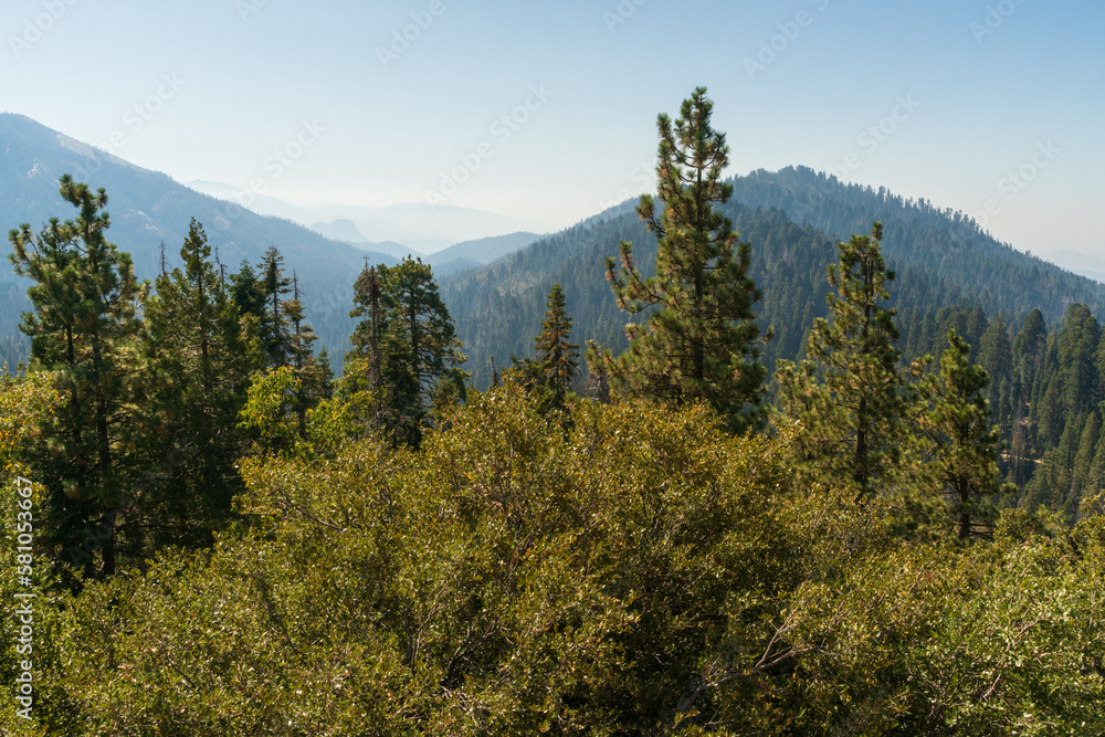 Smoke from Forest Fire Fills at the Valley at Giant Sequoia National Monument