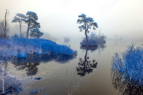 Vennen in de mist, Infrared, Oisterwijk, Netherlands, Noord-Brabant  photo