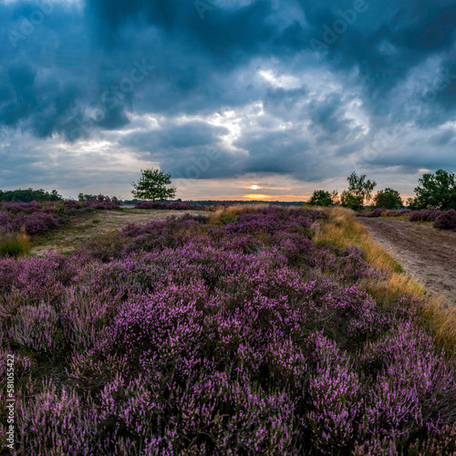Regte Heide, Tilburg, Noord-Brabant, Netherlands,