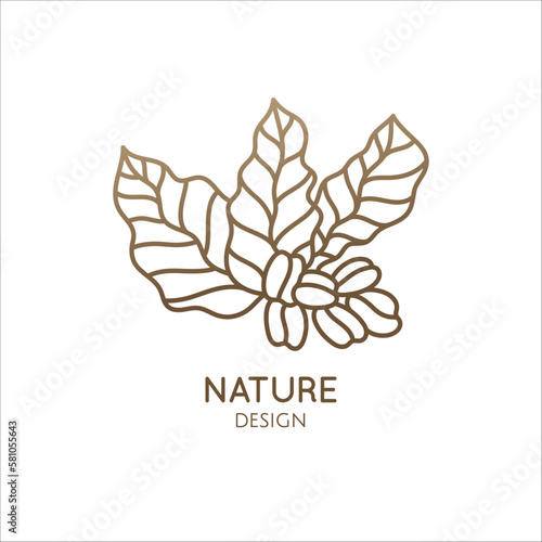 Coffee plant linear logo. Vector emblem coffee tree. Icon of coffee tree branch with grains. Abstract badge for design of natural products  coffee shop  for cafe  bar  shop  botany