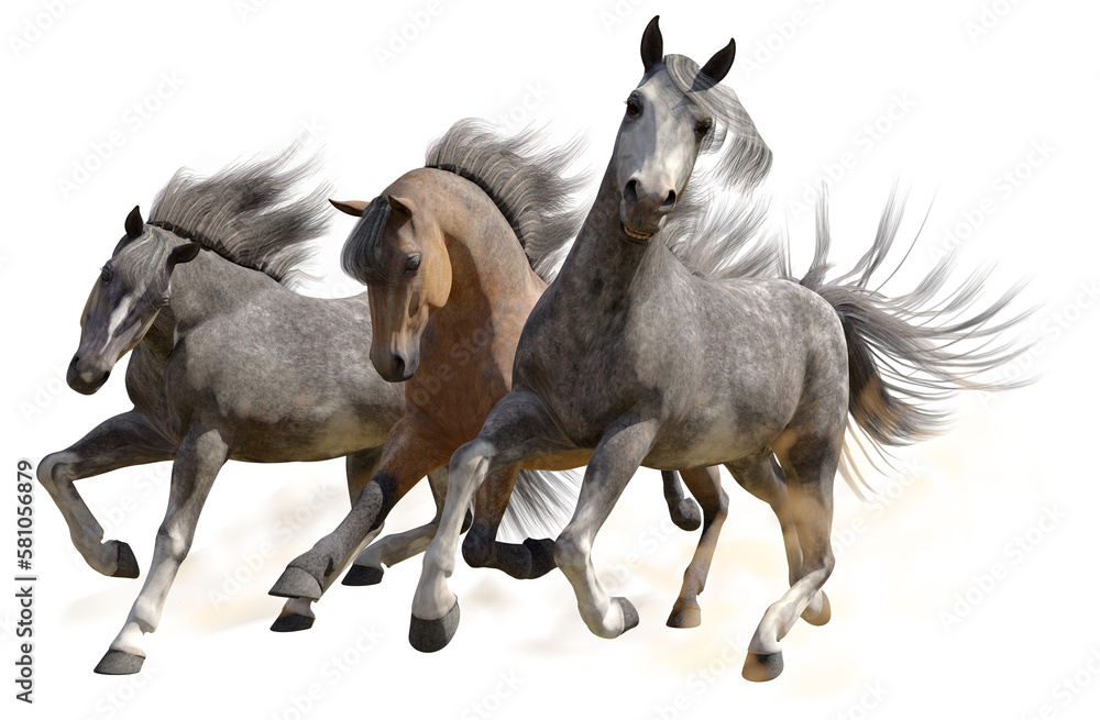 Three Horses Three Horses