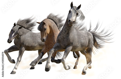 Three Horses 