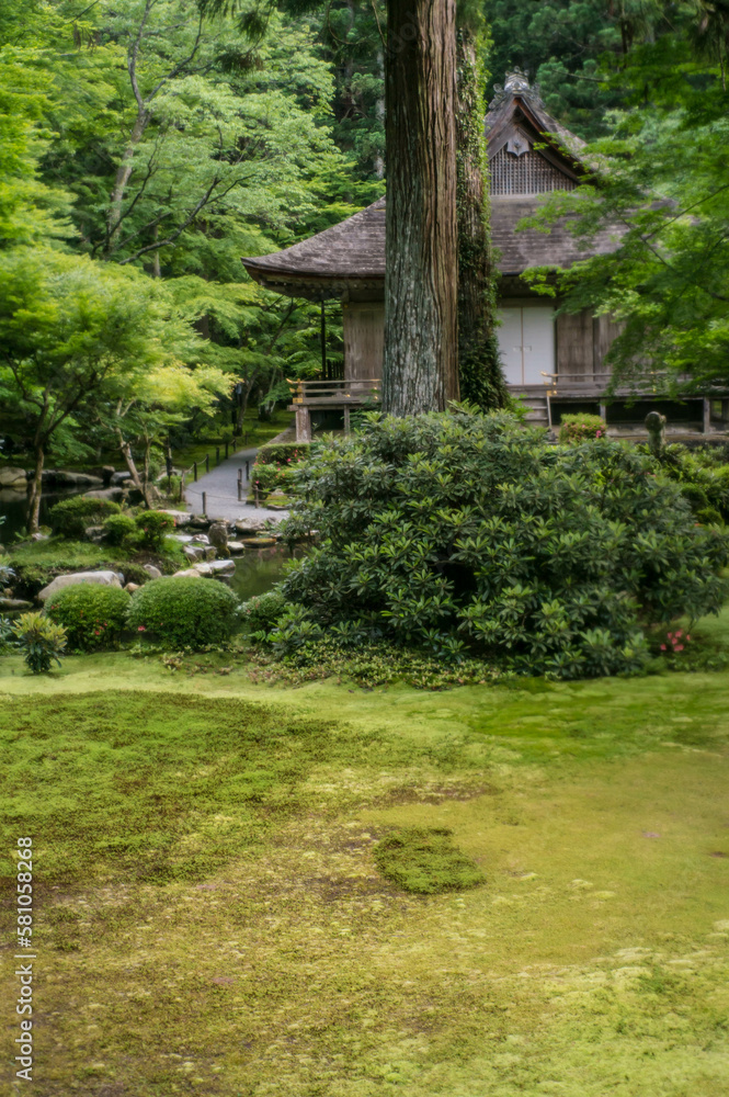 京都 夏の緑に囲まれた大原三千院の美しい情景