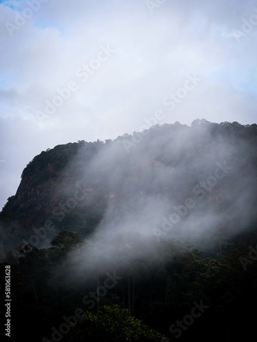 mist over the mountains after heavy rain