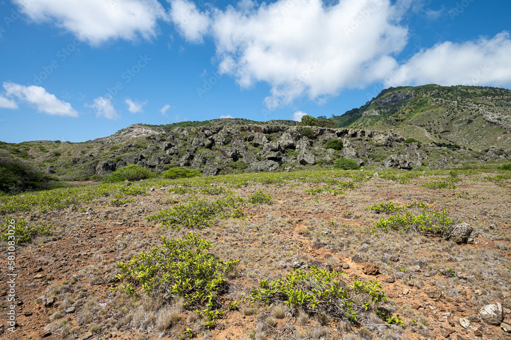 Ascension island, south east crater, Ascension island. Ascension island, south east crater, Ascension island.