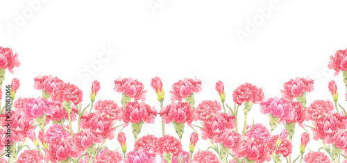 カーネーションの水彩ボタニカルフレーム