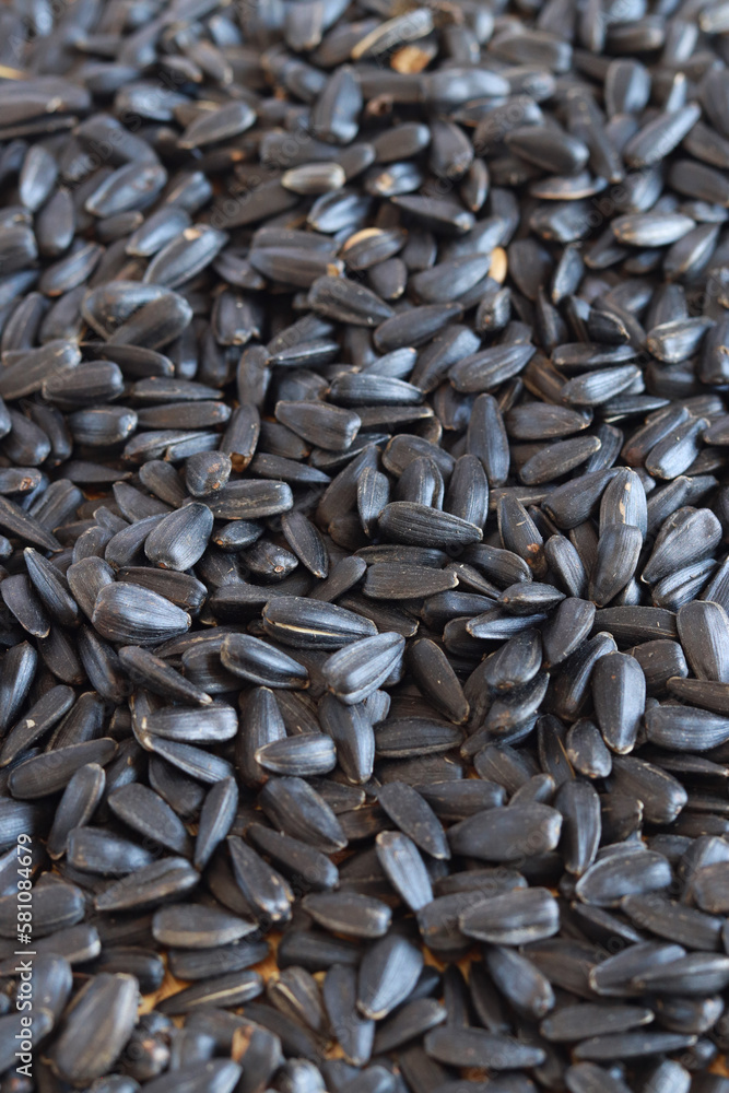 Roasted sunflower seeds, healthy food. Sunflower seeds after harvest. Heap of dried unpeeled sunflower seeds Roasted sunflower seeds, healthy food. Sunflower seeds after harvest. Heap of dried unpeeled sunflower seeds