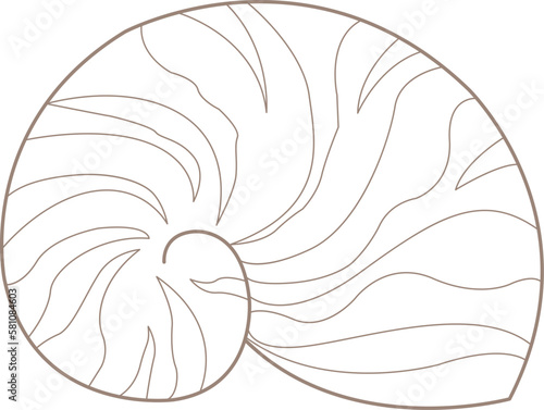 Seashell doodle illustration for decoration on marine life ,summer holiday and coastal concept.