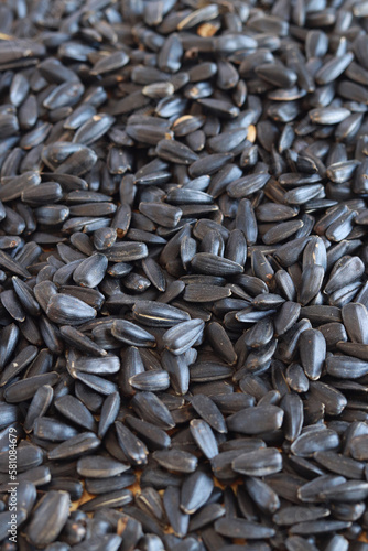 Wallpaper Mural Roasted sunflower seeds, healthy food. Sunflower seeds after harvest. Heap of dried unpeeled sunflower seeds Torontodigital.ca