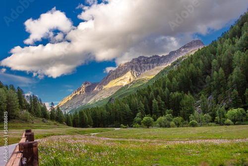 Panoramic view along the path in Val di Rhemes at dusk. Gran Paradiso National Park. View of the river, mountains, peaks, meadows, forest and wildflowers. Aosta Valley, Italy. Italian Alps