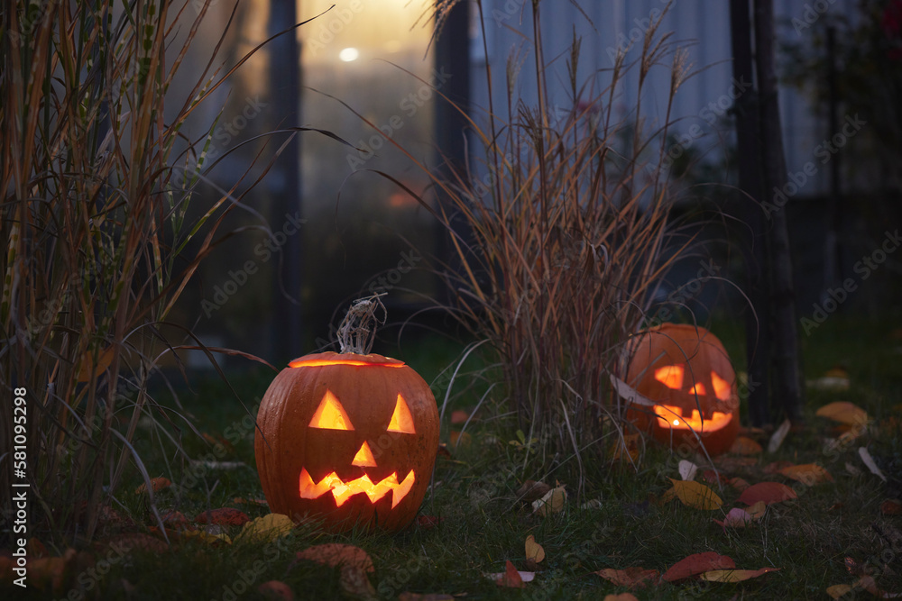 Carved Jack-o-lanterns in garden Carved Jack-o-lanterns in garden