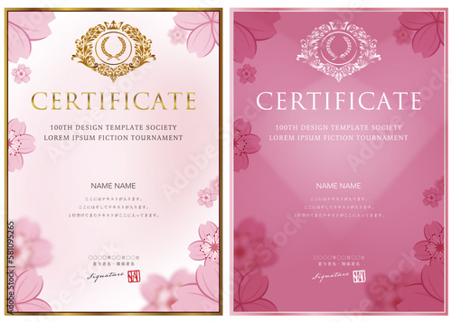 賞状１１１　certificate　ディプロマ　表彰状　卒業証	