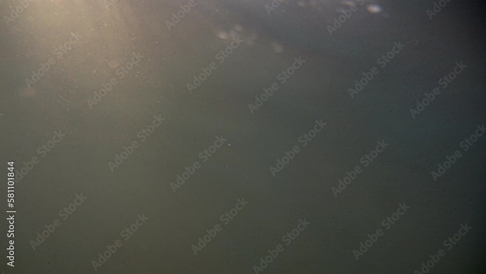 Camera below the surface of the water, the sun breaks through the water. We see the edge of the water, we go under the water. Sea surface at sunset. Camera below the surface of the water, the sun breaks through the water. We see the edge of the water, we go under the water. Sea surface at sunset.