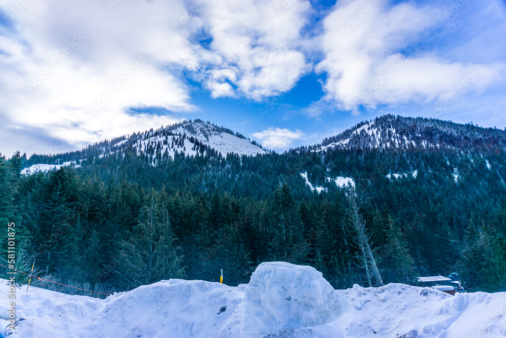 Fototapeta premium Mountain Snow And Trees 6