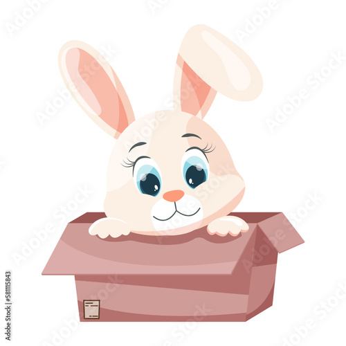 Cartoon rabbit in a box. © Наталья Косаревич