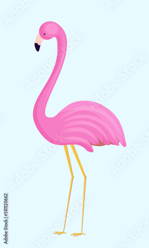 Pink flamingo isolated on white background. Vector flamingo photo