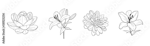 Hand drawn floral illustrations isolated on background in linear style, Greeting cards, wedding invitation, embroidery, small tattoo design