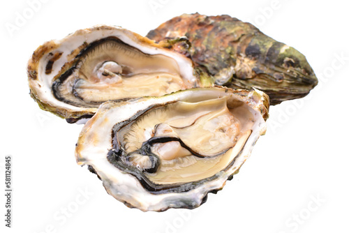 Fresh oysters isolated 