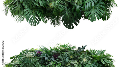 Fototapeta Naklejka Na Ścianę i Meble -  Green leaves nature frame border of tropical plants bush (Monstera, palm, philodendrons, fern and cabbage) lush foliage floral arrangement