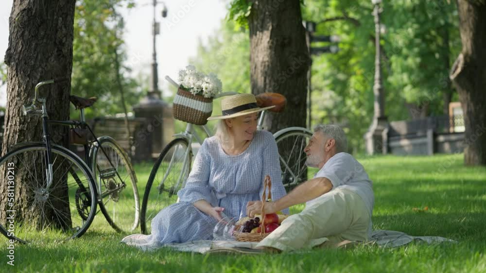 Happy senior couple enjoying picnic in summer city park, romantic date, relax Happy senior couple enjoying picnic in summer city park, romantic date, relax