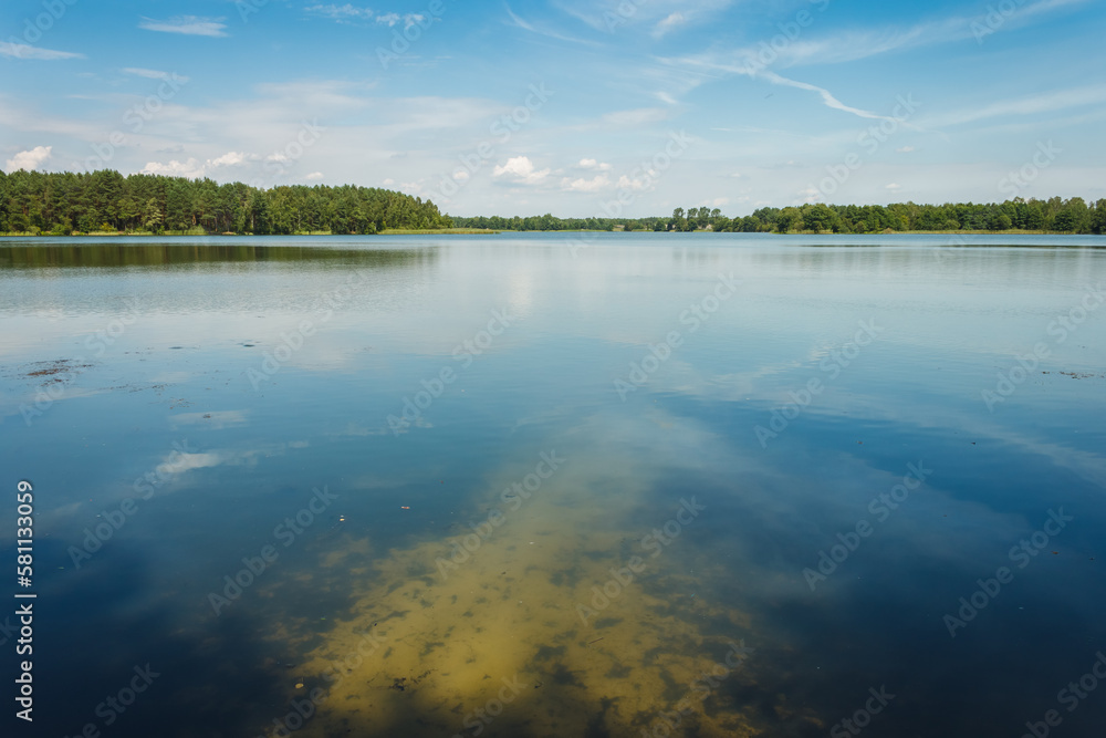 Reflection of clouds in the lake. Landscape with a forest lake on a summer sunny day. 