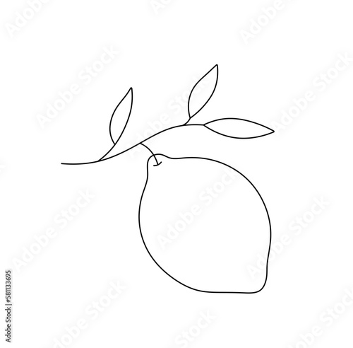 Vector isolated one single simplest lemin fruit hanging on tree branch with leaves colorless black and white contour line easy drawing photo