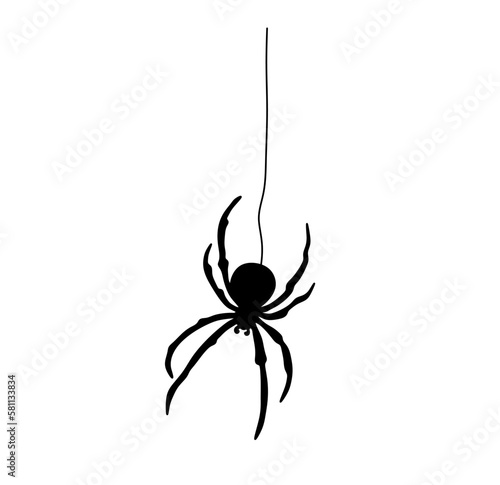 Vector isolated one single black spider handing on a web thread colorless black and white outline silhouette shadow shape