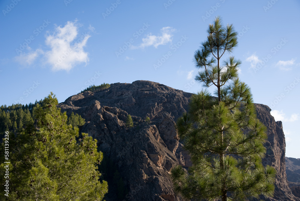 Roque Nublo  Nature Park, Gran Canaria, Spain