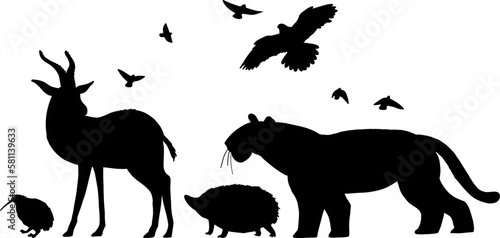 Animal Silhouette Vector Illustration