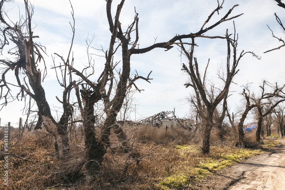Kherson. The consequences of the war in Ukraine Kherson. The consequences of the war in Ukraine
