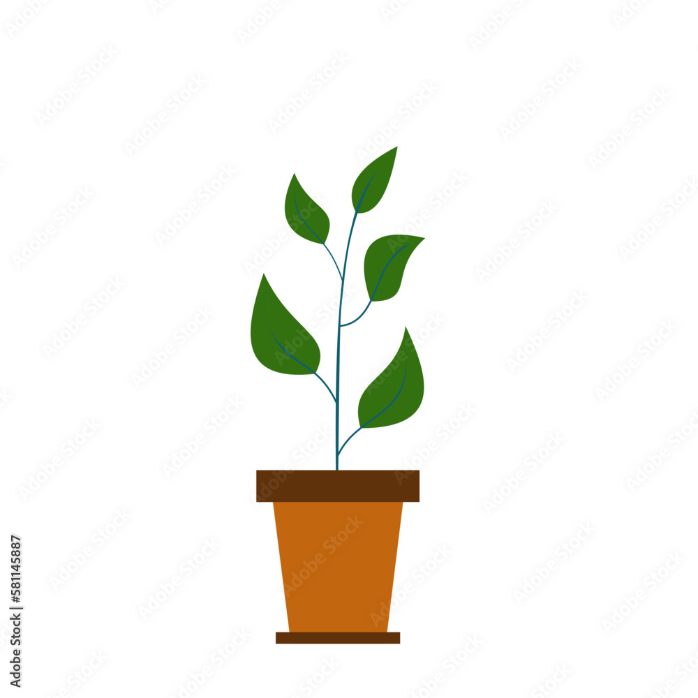House Plant Element