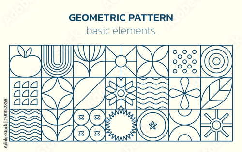 Geometric line food pattern. Natural plant flower simple shape, abstract eco agriculture concept. Vector minimal banner